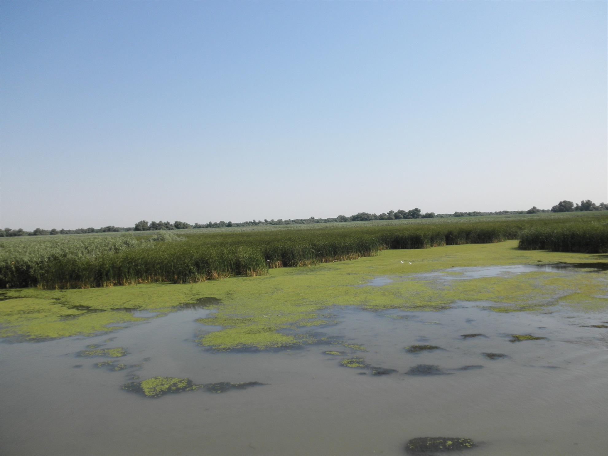 Delta - relaxare - p7290160.JPG